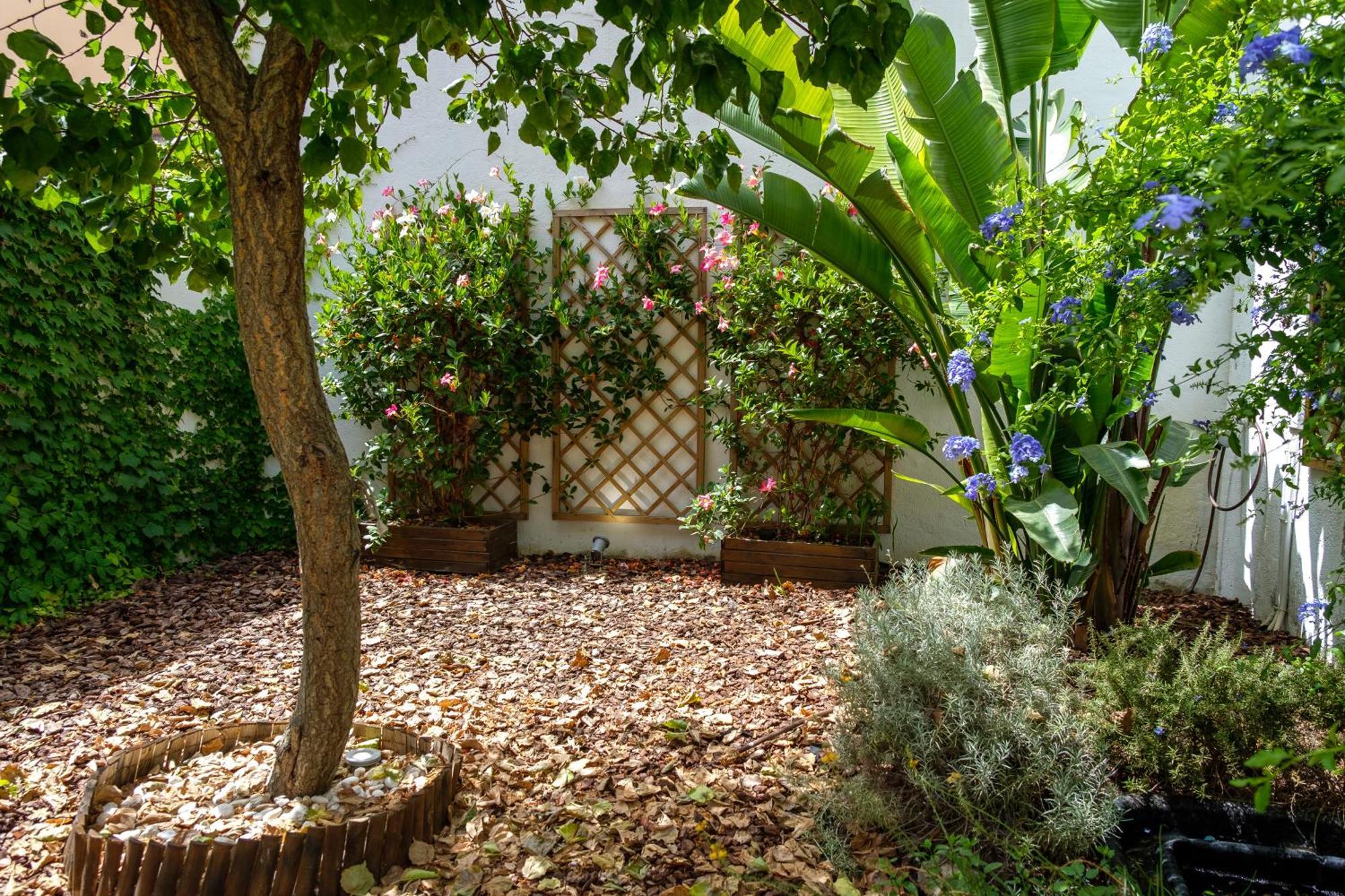 Pretty House Sa Font In Santa Catalina Palma City 외부 사진